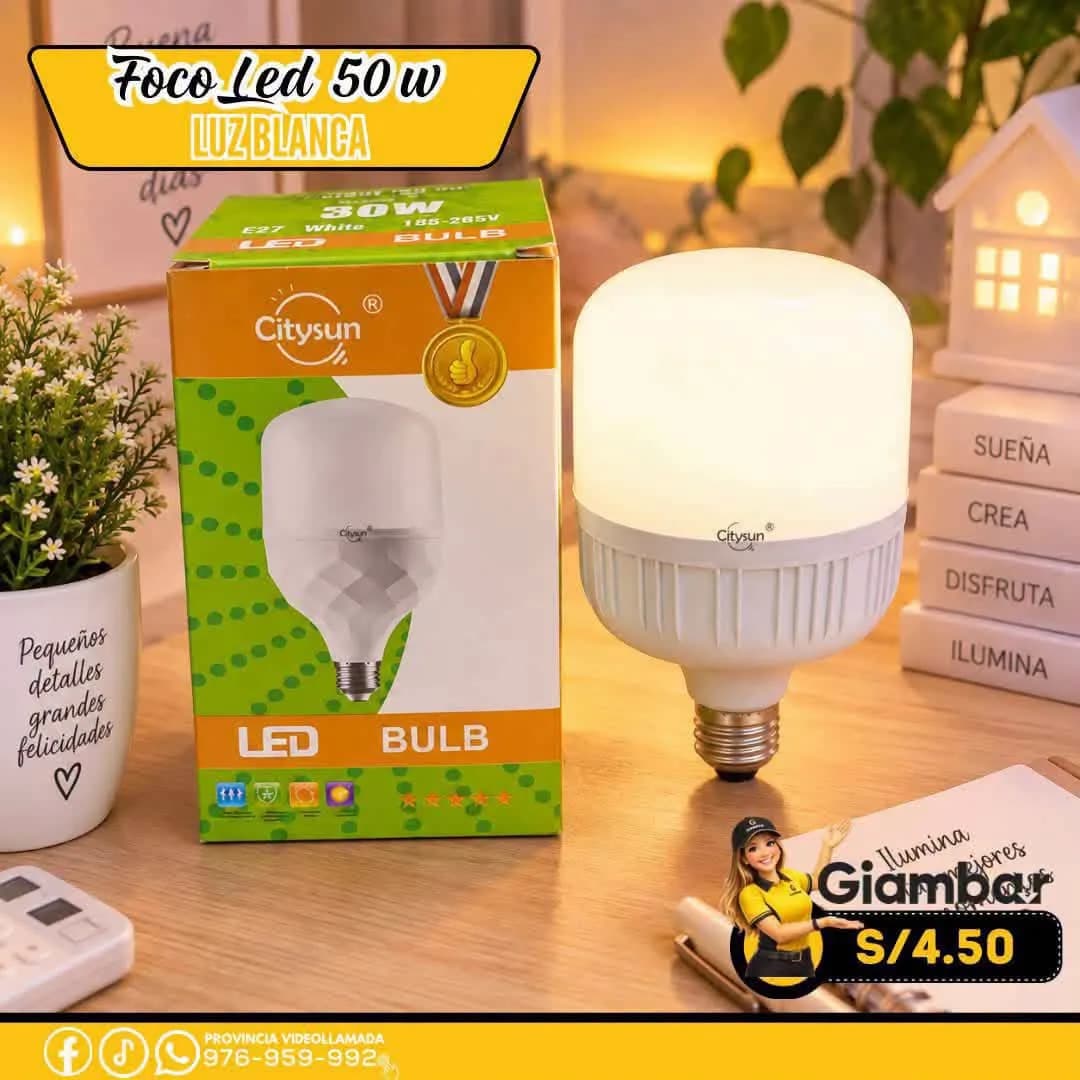 203054 LED BULB E27 50W
