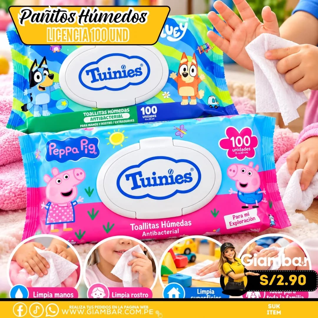 034787	TOALLITAS HUMEDAS REFILL X100 C/FLIPTOP PEPPA PIG 20118 