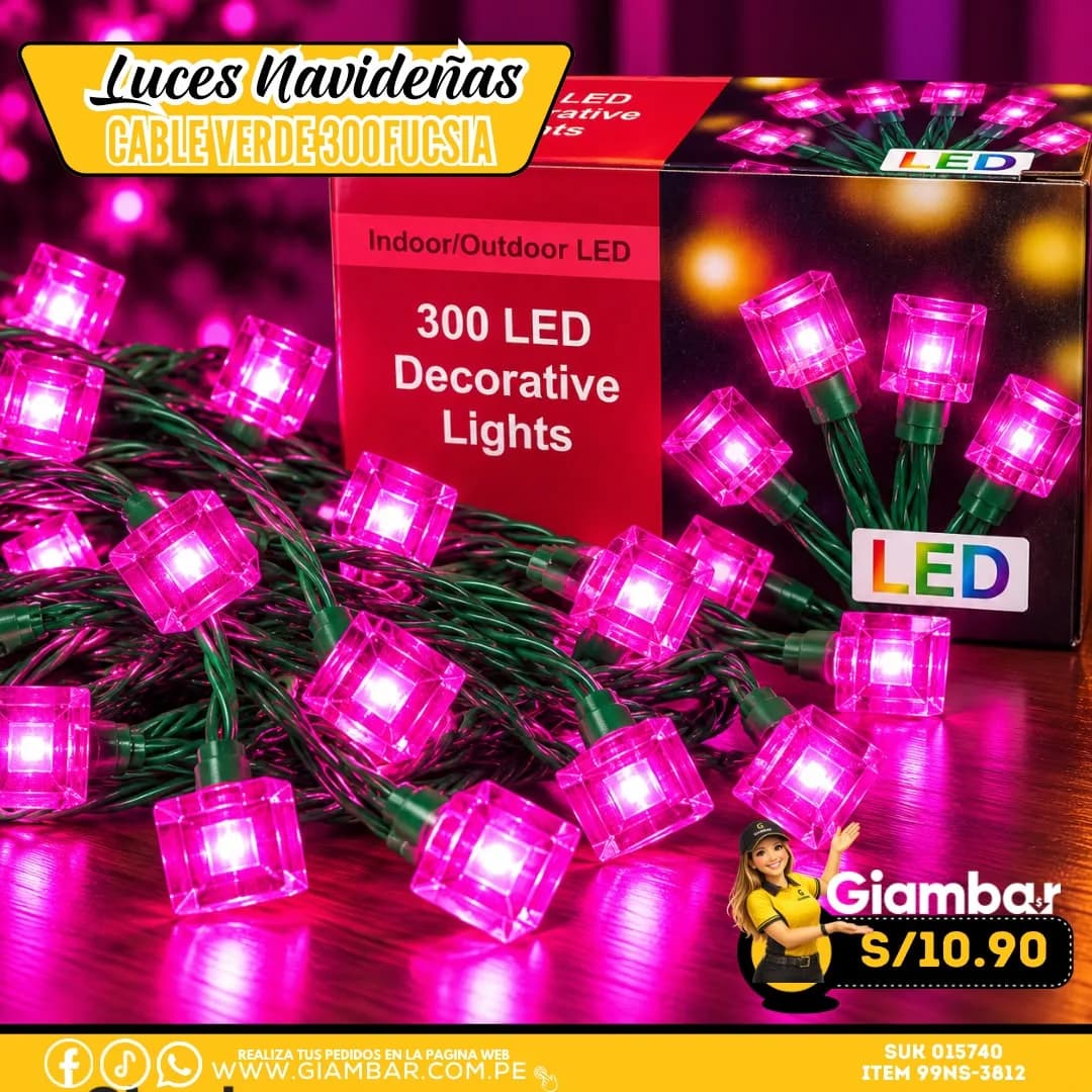 99NS-3812 LUCES LED 300L A 