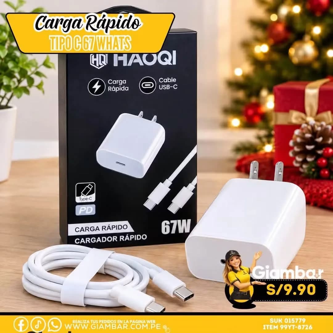 99YT-8726 Cargador rápido C V