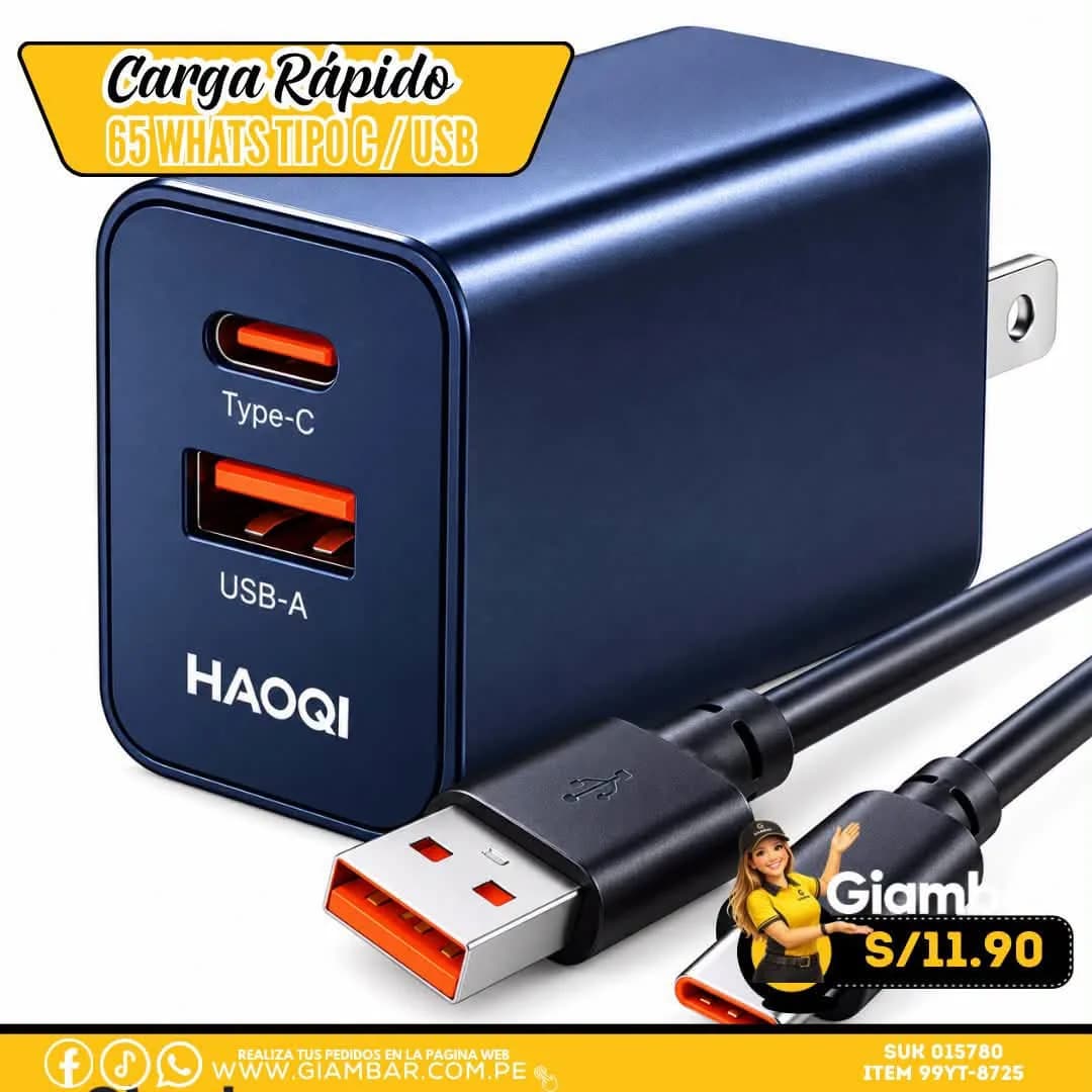 99YT-8725 CARGADOR USB-C/USB V